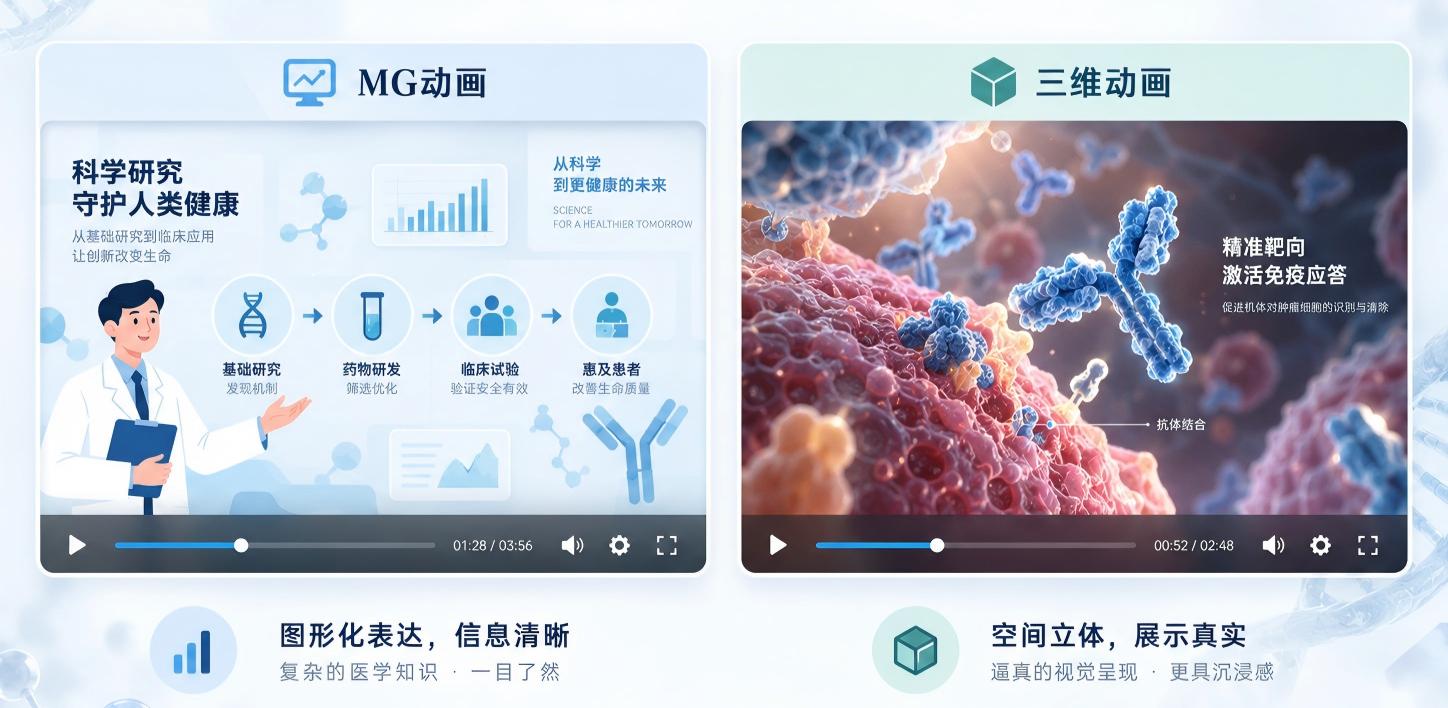 MG动画和三维动画区别