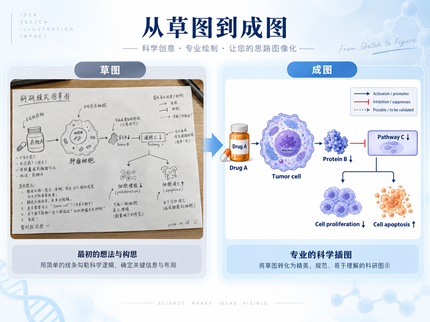 草图和成图